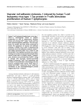 Vascular cell adhesion molecule-1 induced by human T