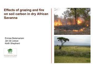 Effects of grazing and fire on soil carbon in dry African Savanna
