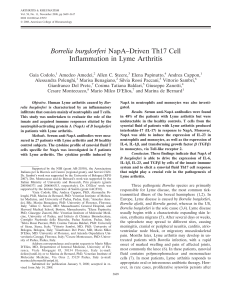 Borrelia burgdorferi NapA-driven Th17 cell inflammation in lyme