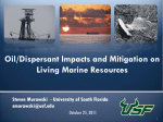 Oil/Dispersant Impacts and Mitigation on Living Marine Resources