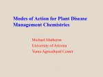 Modes of Action for Plant Disease Management Chemistries