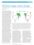 Nutrients trigger carbon storage