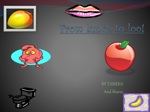 From lunch to loo! - Baradine Central School