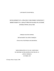 development of a strategy for energy efficiency improvement in a