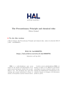 The Precautionary Principle and chemical risks - Hal-SHS