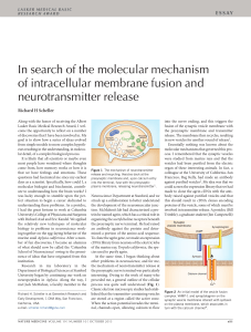 In search of the molecular mechanism of intracellular membrane