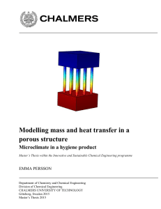 Modelling mass and heat transfer in a porous structure