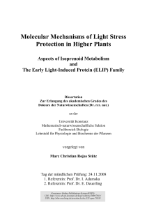 Molecular Mechanisms of Light Stress Protection in Higher Plants