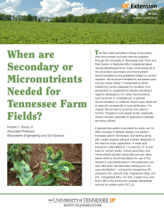 When are Secondary or Micronutrients Needed for Tennessee Farm