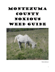 Montezuma County Noxious Weed Guide