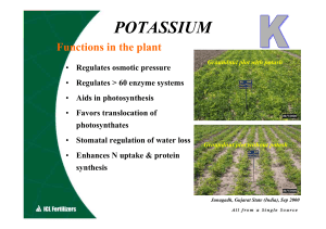potassium - ICL Fertilizers