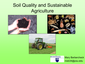 Soil Quality and Sustainable Agriculture