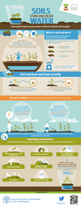 water soils soils - Food and Agriculture Organization of the United
