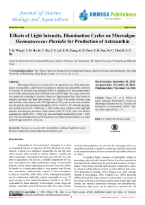 Effects of Light Intensity, Illumination Cycles on Microalgae