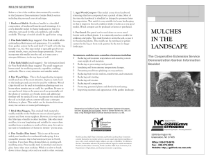 mulches in the landscape
