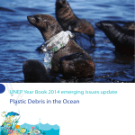 Plastic Debris in the Ocean
