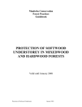 Protection of softwood understorey in mixedwood and hardwood