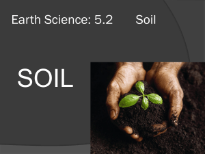 Earth Science: 5.2 Soil - sleepingdogstudios.com