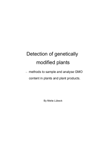 Detection of genetically modified plants