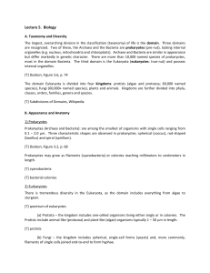 Lecture 5. Biology A. Taxonomy and Diversity The largest