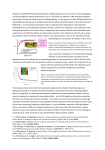 Polymer mediated (PM) interactions between colloidal particles are