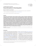 Sexual dimorphism in flowering plants