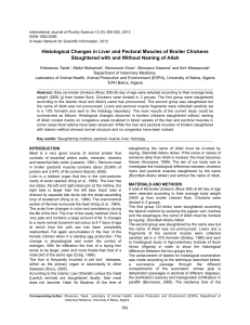 Histological changes in liver and pectoral muscles slaughtered acco