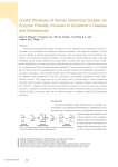 Crystal Structures of Human Glutaminyl Cyclase, an Enzyme