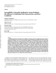 Susceptibility of Juvenile Steelhead to Avian Predation: the