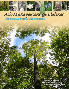 Ash Management Guidelines - Minnesota Logger Education Program