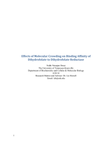 Effects of Molecular Crowding on Binding Affinity of Dihydrofolate to