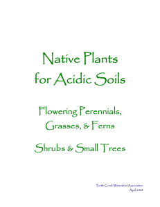 Native Plants for Acidic Soils