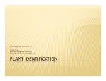 plant identification - Arizona Section, Society for Range Management