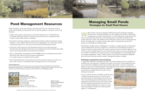 Pond Management Resources Managing Small Ponds