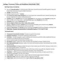 Zoology Phyla Comparison Chart