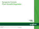 Syngenta Cereals Plant Growth Regulator