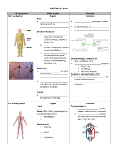 Body Systems Notes