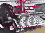 Option E: Neurobiology and Behaviour