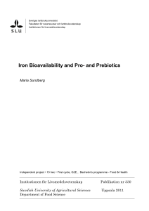 Iron Bioavailability and Pro- and Prebiotics