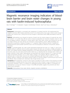 Magnetic resonance imaging indicators of blood