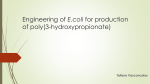 Engineering of E.coli for production of poly(3