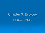 Chapter 3: Ecology