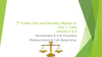 7th Grade Cells and Heredity (Module A)