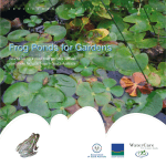 Frog Ponds for Gardens - Natural Resources South Australia
