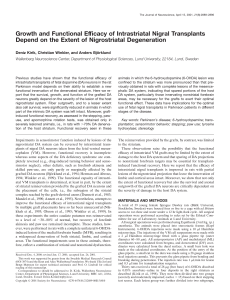 Growth and Functional Efficacy of Intrastriatal Nigral Transplants