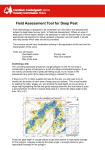 Field Assessment Tool for Deep Peat