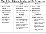 The Role of Biomolecules in Life Processes