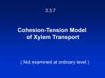 Cohesion-Tension Model of Xylem Transport