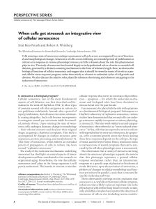 When cells get stressed: an integrative view of cellular