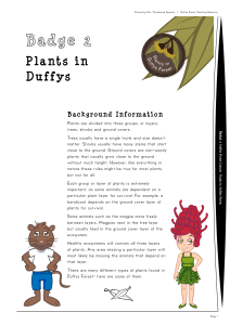 Plants in Duffys